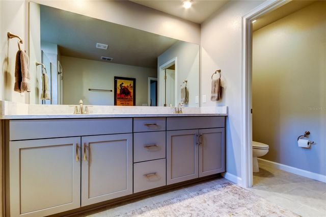 19388 GREAT INTENTION WAY, Lutz, FL 33558