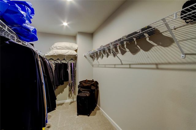 19388 GREAT INTENTION WAY, Lutz, FL 33558