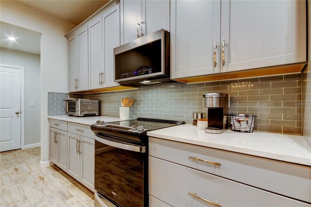 19388 GREAT INTENTION WAY, Lutz, FL 33558