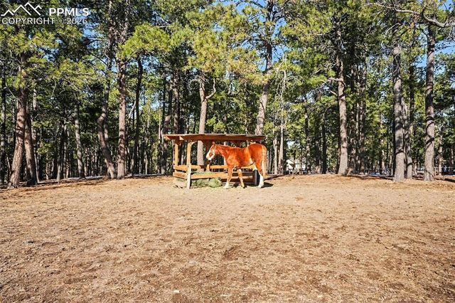 8265 Tannenbaum Road, Colorado Springs, CO 80908