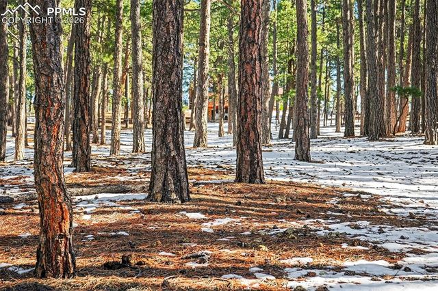 8265 Tannenbaum Road, Colorado Springs, CO 80908