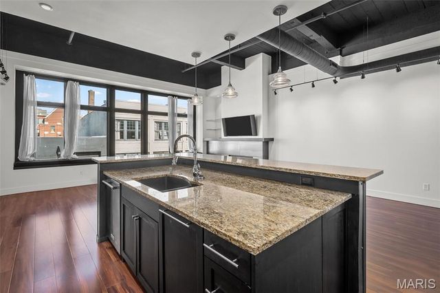 3010 Locust Street 208, St Louis, MO 63103