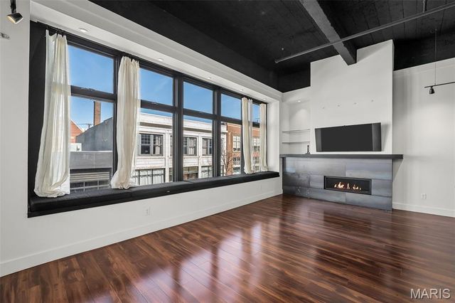 3010 Locust Street 208, St Louis, MO 63103