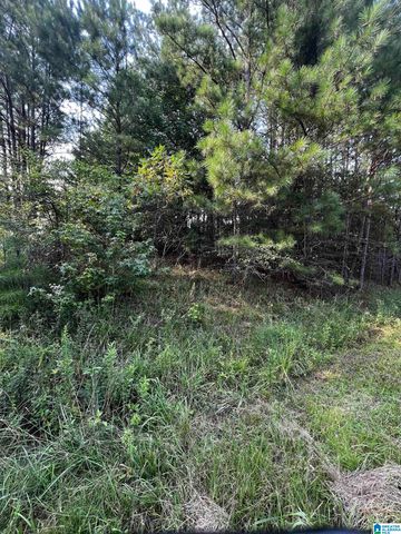 SOLAR SHIELD BOULEVARD, Odenville, AL 35120