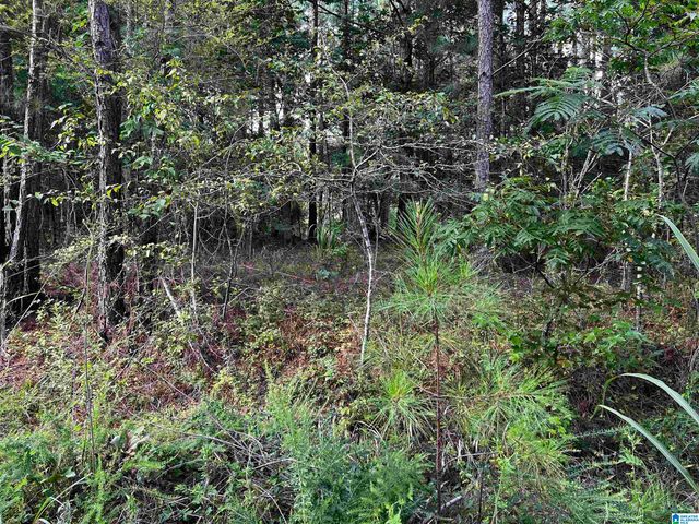 SOLAR SHIELD BOULEVARD, Odenville, AL 35120