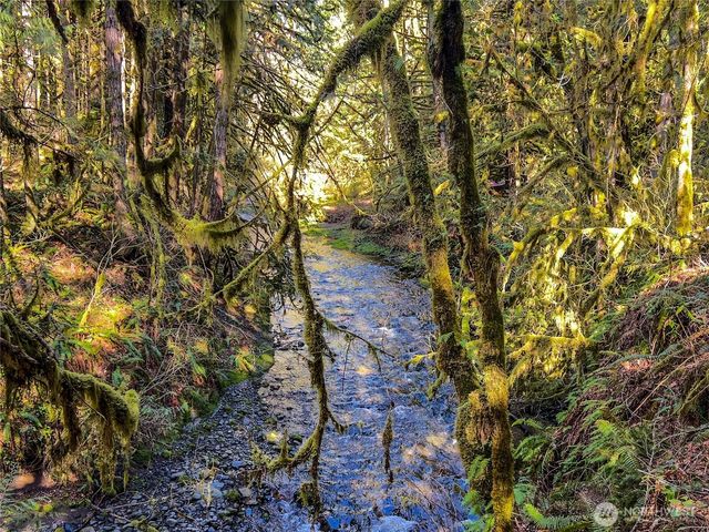423 Lords Lake Loop, Quilcene, WA 98376