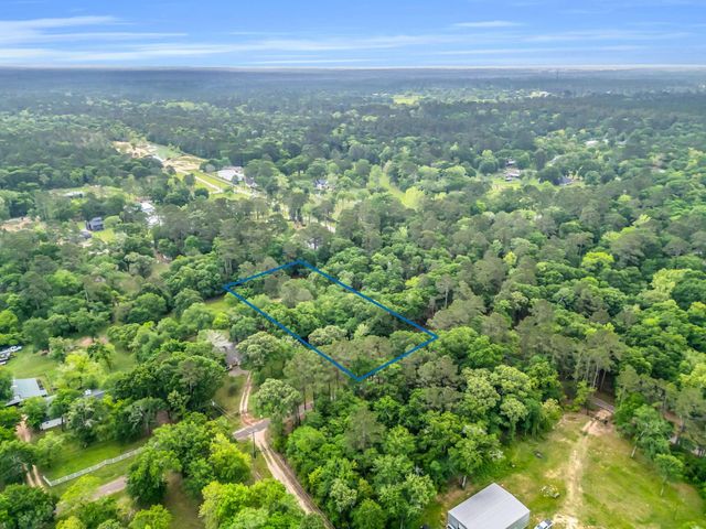 24466 Pine Creek Road, Hockley, TX 77447