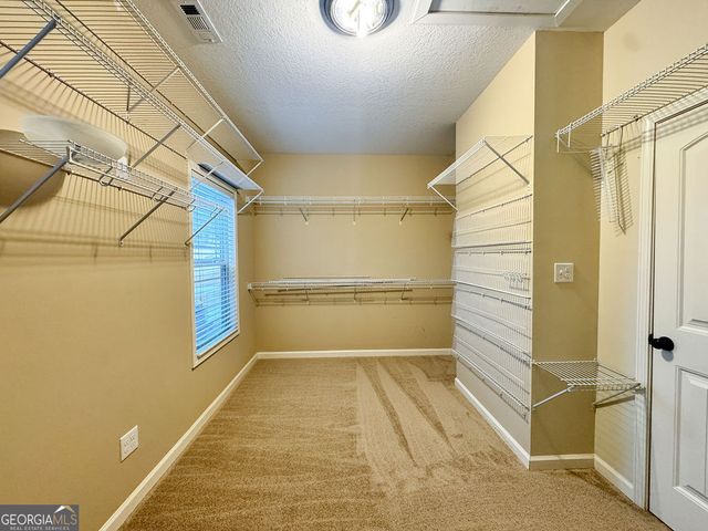 170 Fire Creek Trail, Senoia, GA 30276