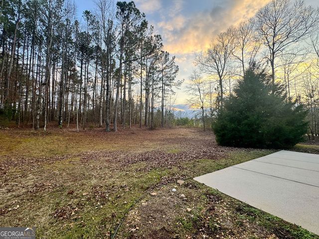 170 Fire Creek Trail, Senoia, GA 30276