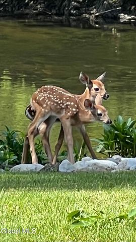 2158 NY-29, Greenwich, NY 12834