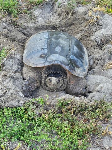 2158 NY-29, Greenwich, NY 12834