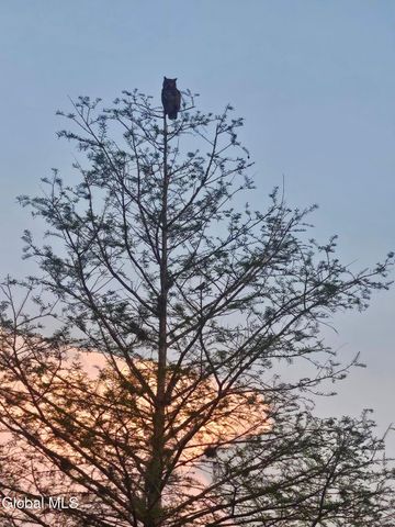 2158 NY-29, Greenwich, NY 12834