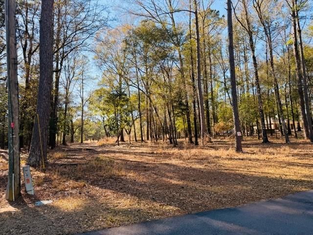 0 Lakefront Drive, Mobile, AL 36695