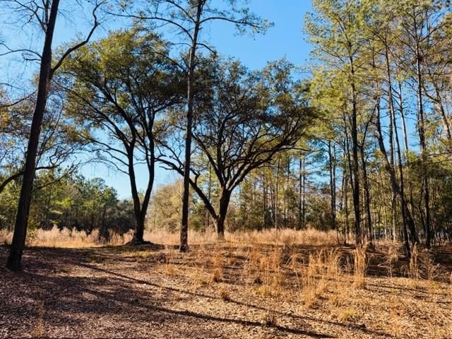 0 Lakefront Drive, Mobile, AL 36695
