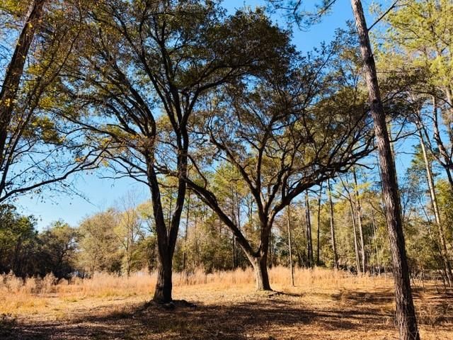 0 Lakefront Drive, Mobile, AL 36695