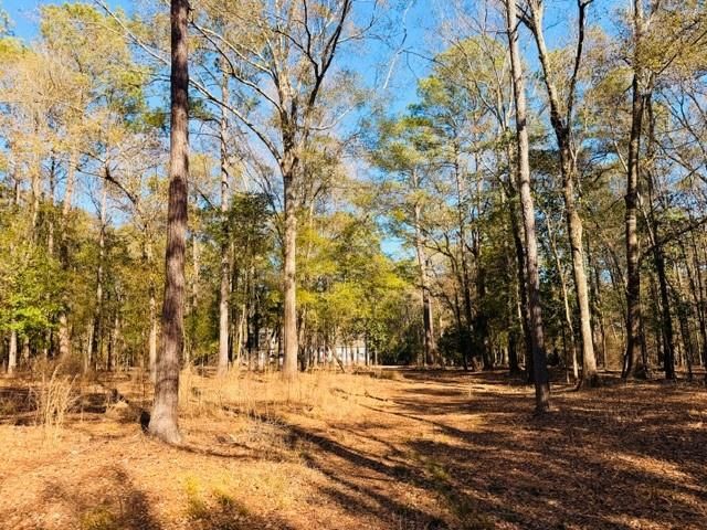 0 Lakefront Drive, Mobile, AL 36695
