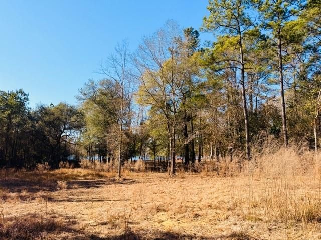 0 Lakefront Drive, Mobile, AL 36695