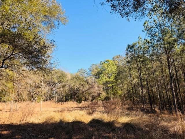 0 Lakefront Drive, Mobile, AL 36695