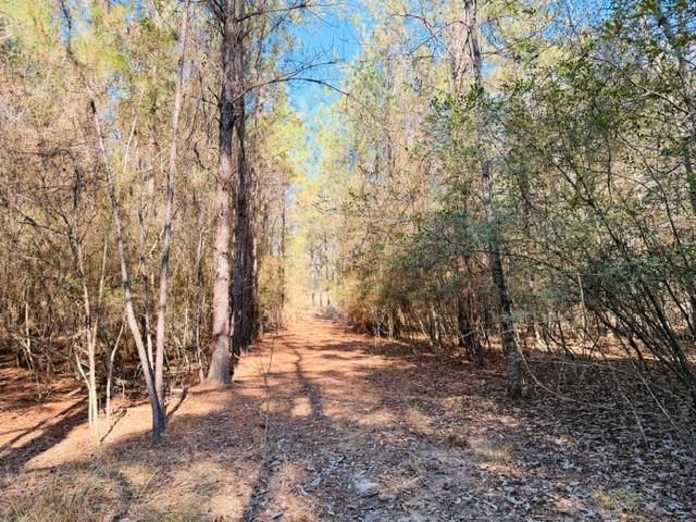 0 Lakefront Drive, Mobile, AL 36695