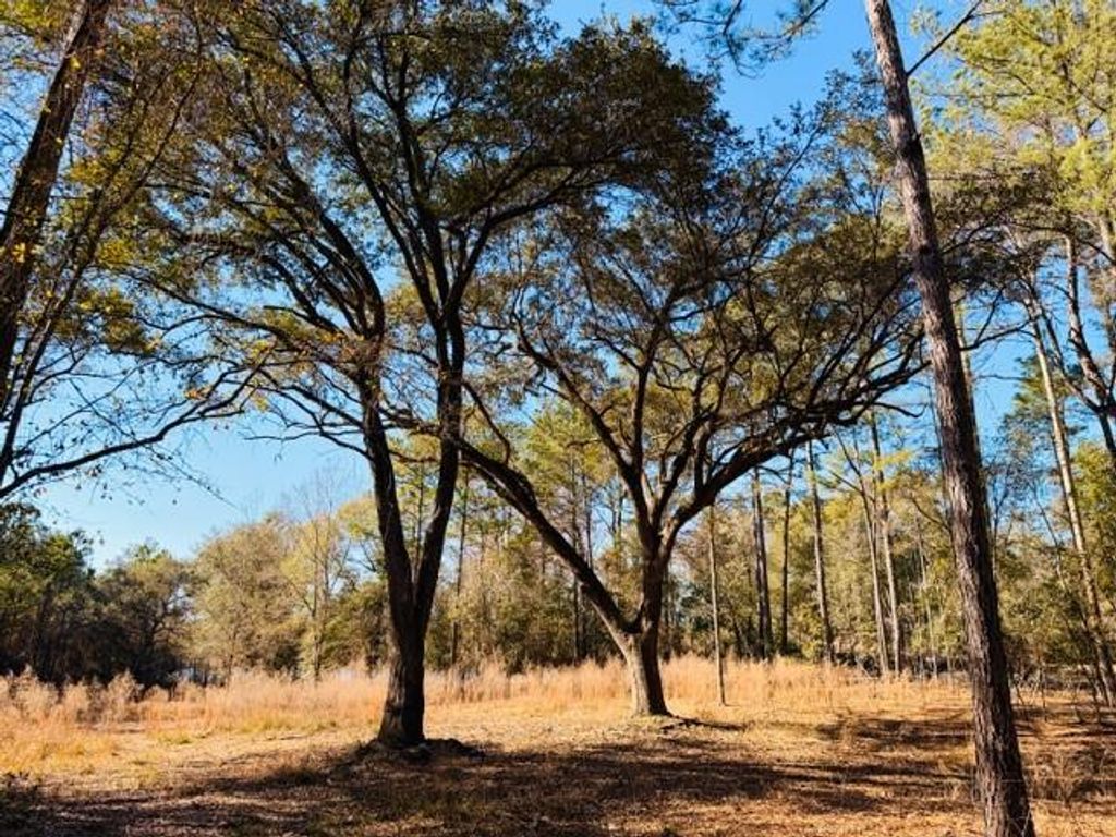 0 Lakefront Drive, Mobile, AL 36695 — photo 3