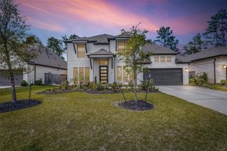 546 Carina Gaze Drive, Willis, TX 77318