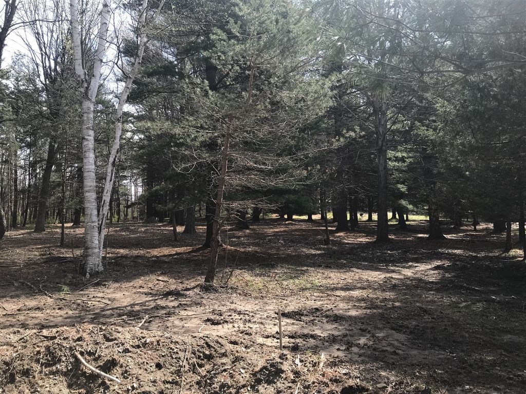 7087 Creekwood Drive, South Haven, MI 49090