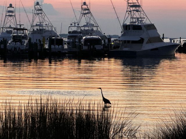 9800 Grand Sandestin Boulevard UNIT 5511, Miramar Beach, FL 32550