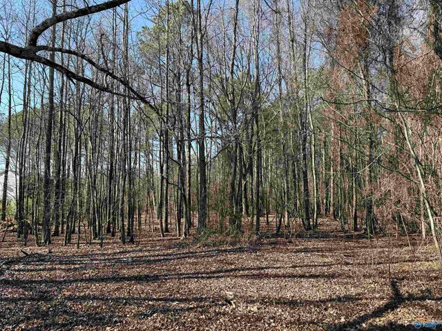 478 Mose Chapel Road, Madison, AL 35758