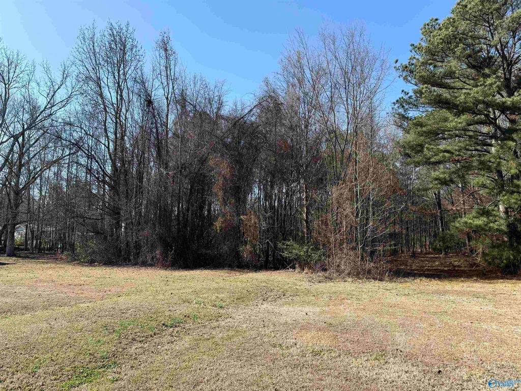 478 Mose Chapel Road, Madison, AL 35758
