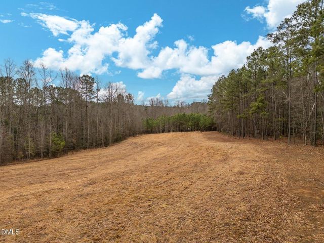 11.31 Pace Farm Road, Wendell, NC 27591