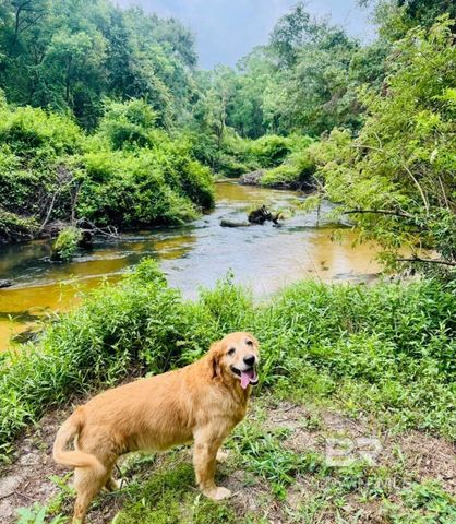 24250 N River Road, Daphne, AL 36526