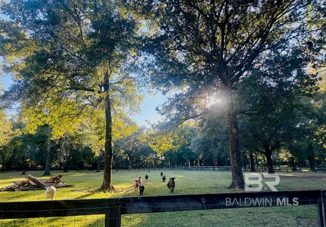 24250 N River Road, Daphne, AL 36526