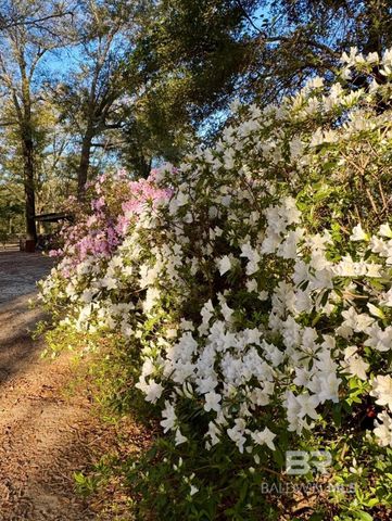 24250 N River Road, Daphne, AL 36526