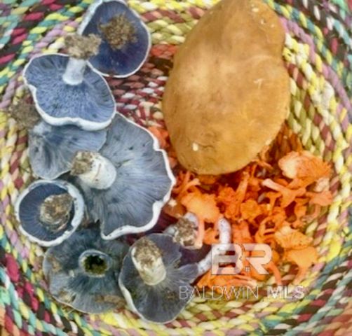 24250 N River Road, Daphne, AL 36526