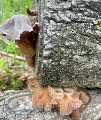 24250 N River Road, Daphne, AL 36526