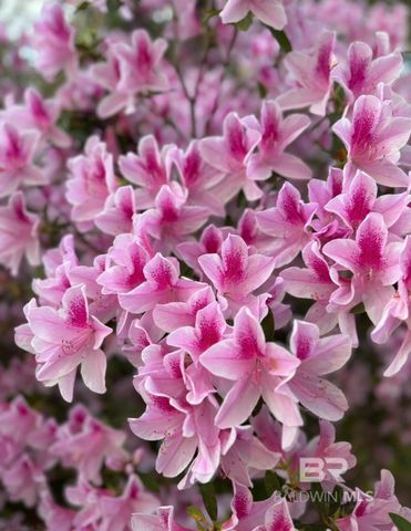 24250 N River Road, Daphne, AL 36526