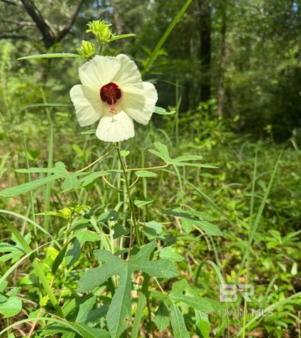 24250 N River Road, Daphne, AL 36526