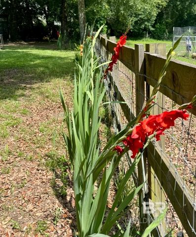 24250 N River Road, Daphne, AL 36526