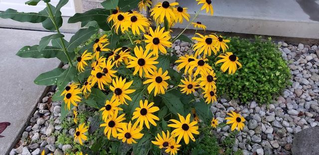 901 Innisbrook Court, Waunakee, WI 53597