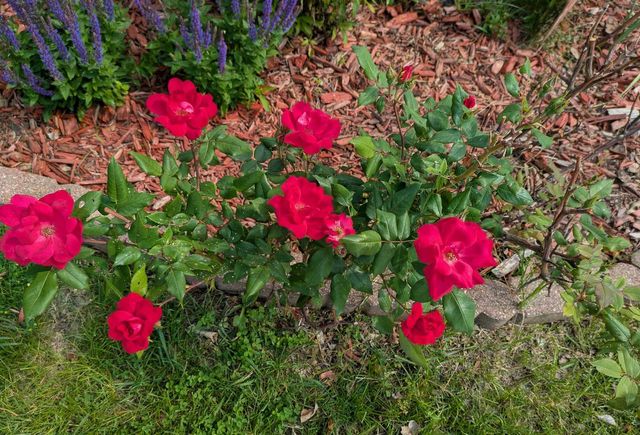 901 Innisbrook Court, Waunakee, WI 53597