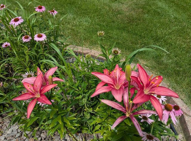 901 Innisbrook Court, Waunakee, WI 53597