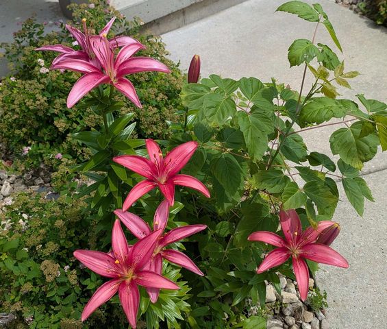 901 Innisbrook Court, Waunakee, WI 53597