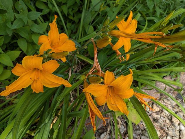 901 Innisbrook Court, Waunakee, WI 53597