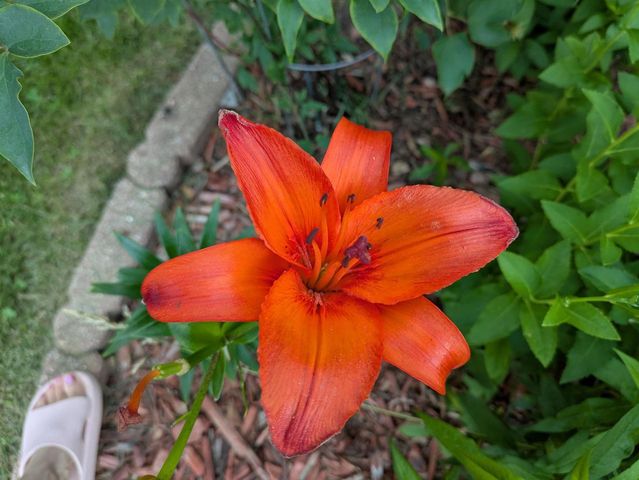 901 Innisbrook Court, Waunakee, WI 53597