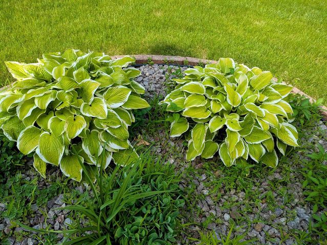 901 Innisbrook Court, Waunakee, WI 53597