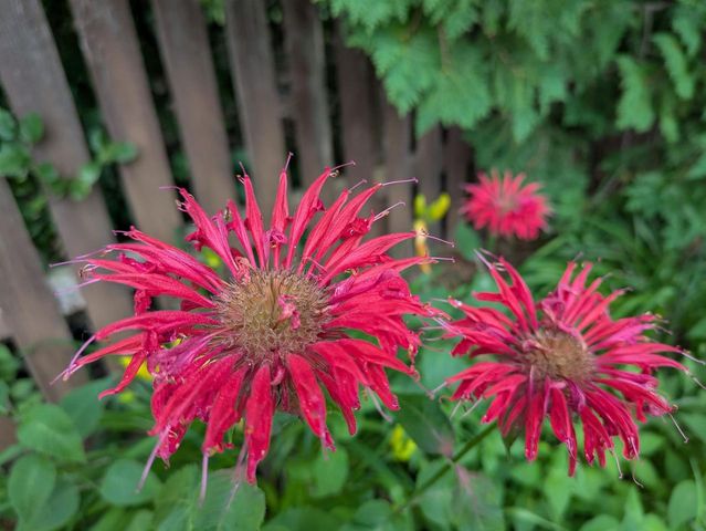 901 Innisbrook Court, Waunakee, WI 53597