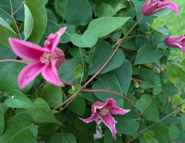 901 Innisbrook Court, Waunakee, WI 53597