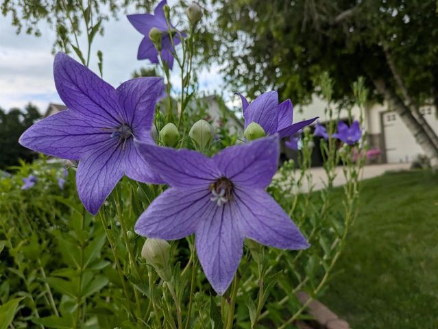 901 Innisbrook Court, Waunakee, WI 53597