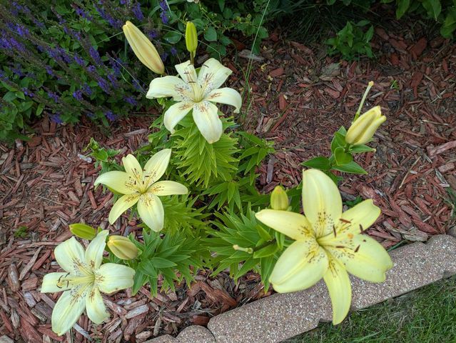 901 Innisbrook Court, Waunakee, WI 53597