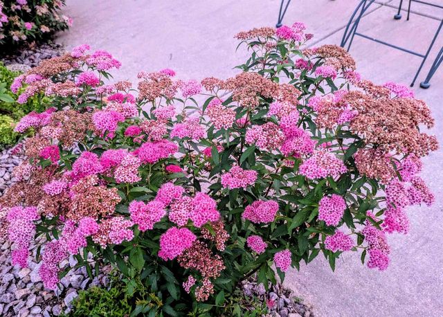 901 Innisbrook Court, Waunakee, WI 53597